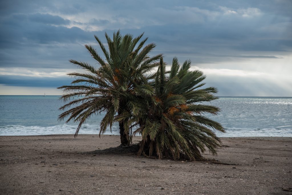  Playa Macenas