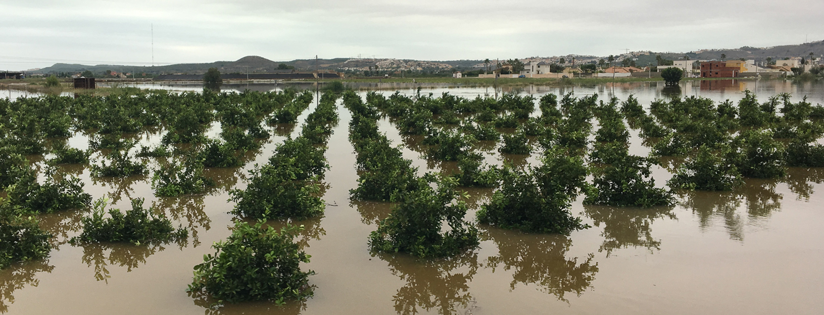 Costa Blanca
