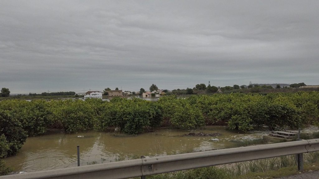 Land unter in den Plantagen