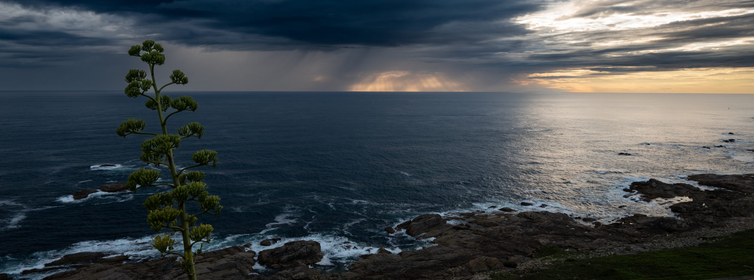 An den Rias de Baixas von Punta do Castro nach Cabo Silleiro