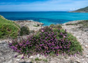 Am Praia de Arnela