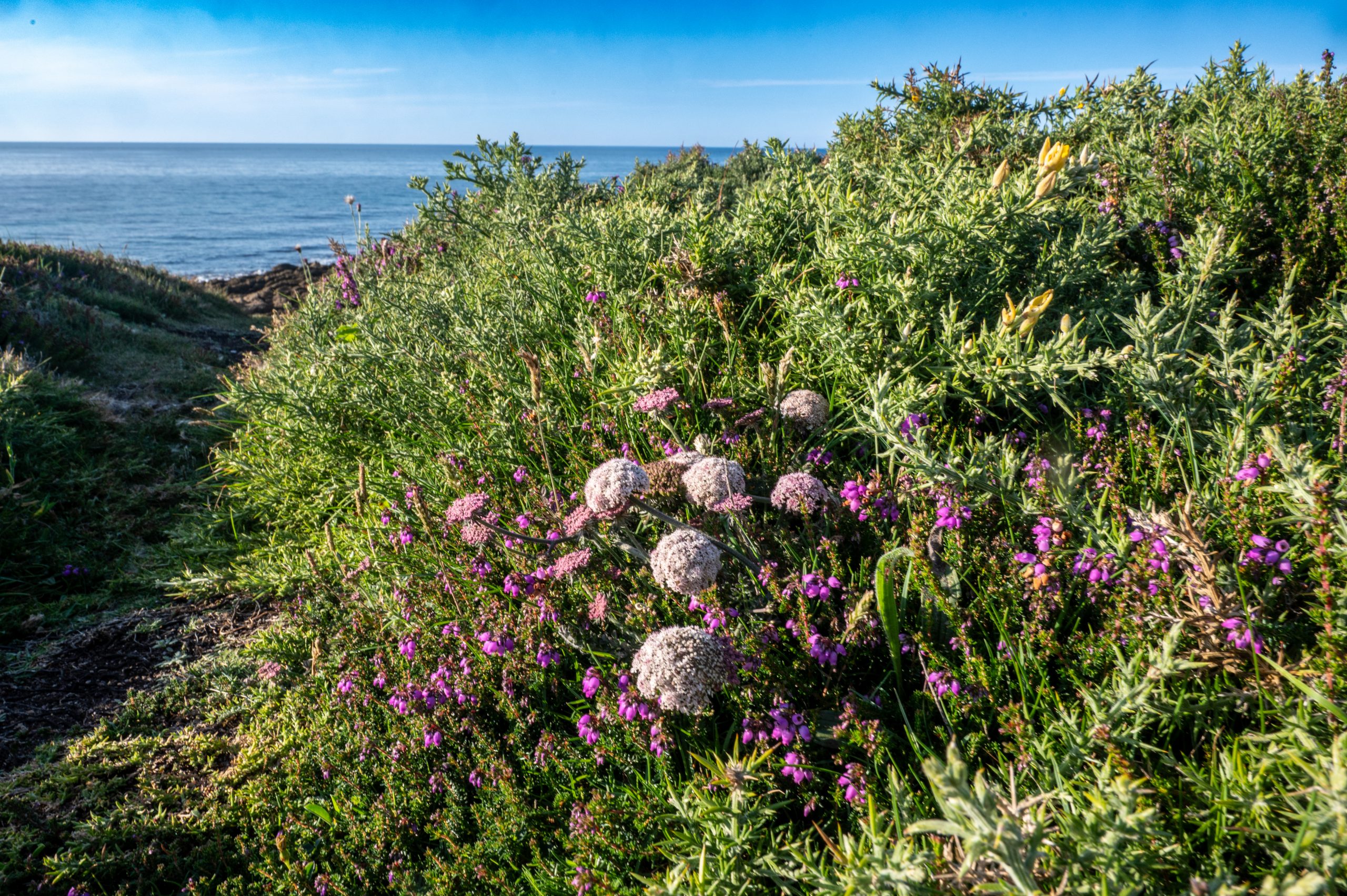 Muxia – Praja Arnela