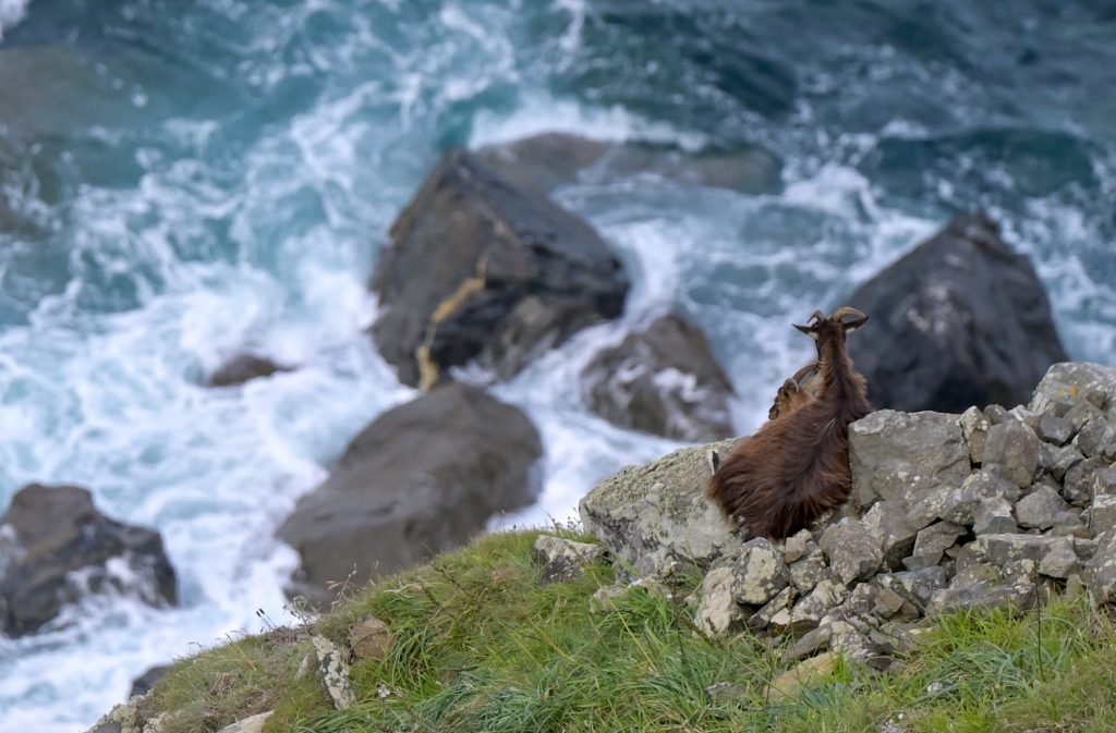 Am Cabo de Ortegal - Serrra de Capalada
