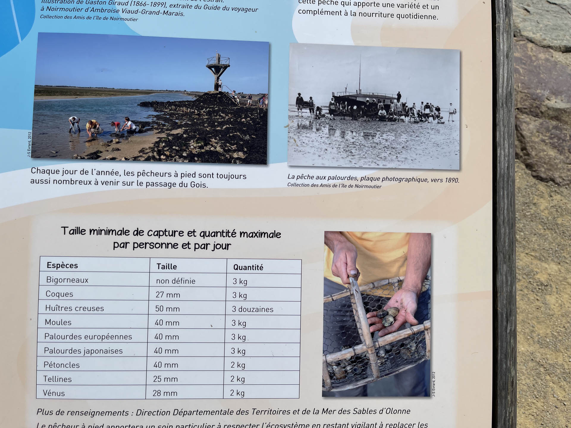 Die Regeln der Fussfischer - Passage du Gois