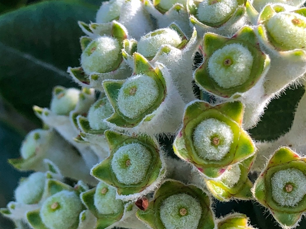 Área deportiva de Castro Castiñeiras