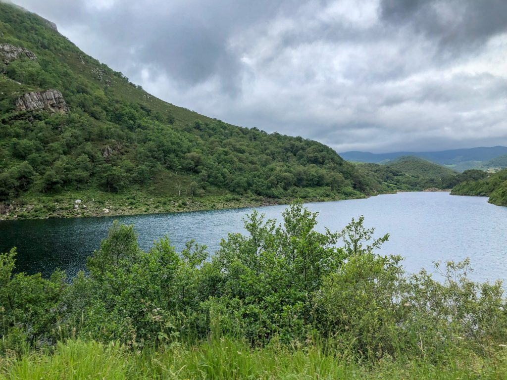 Emblase de la Cohilla