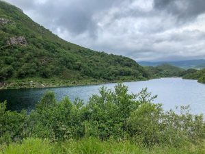 Emblase de la Cohilla