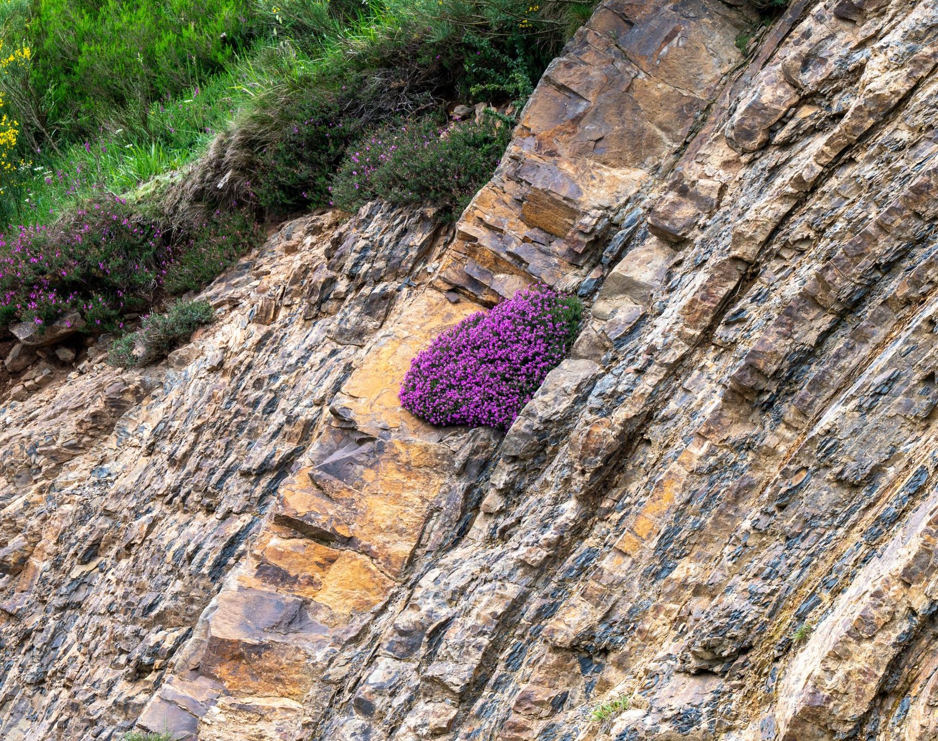 Ribadesella – Comillas