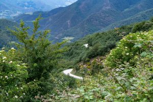 Mirador del Jabali