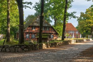 Wilsede