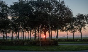 Stellplatz Friedrichskoog Spitze